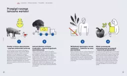 Gazetka promocyjna Lidl - Lidl Polska - Gazetka - ważna od 31.12 do 31.12.2027 - strona 14 - produkty: Top, Por, Gra, Tran, Sport