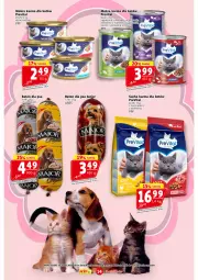 Gazetka promocyjna Prim Market - Gazetka - ważna od 21.05 do 21.05.2025 - strona 14 - produkty: Kurczak, Mokra karma, Sos, Wołowina, Baton, Baton dla psa, Gala, Sucha karma