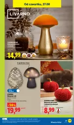 Gazetka promocyjna Lidl - Gazetka ważna od 24.08. do 30.08. - Gazetka - ważna od 30.08 do 30.08.2026 - strona 43 - produkty: Ivar, Dekoracja LED, Tera