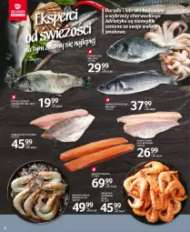 Gazetka promocyjna Selgros - Oferta spożywcza - Gazetka - ważna od 01.12 do 01.12.2021 - strona 4 - produkty: Polędwica, Pstrąg tęczowy, Sandacz filet, Pstrąg, Dorsz, Sandacz