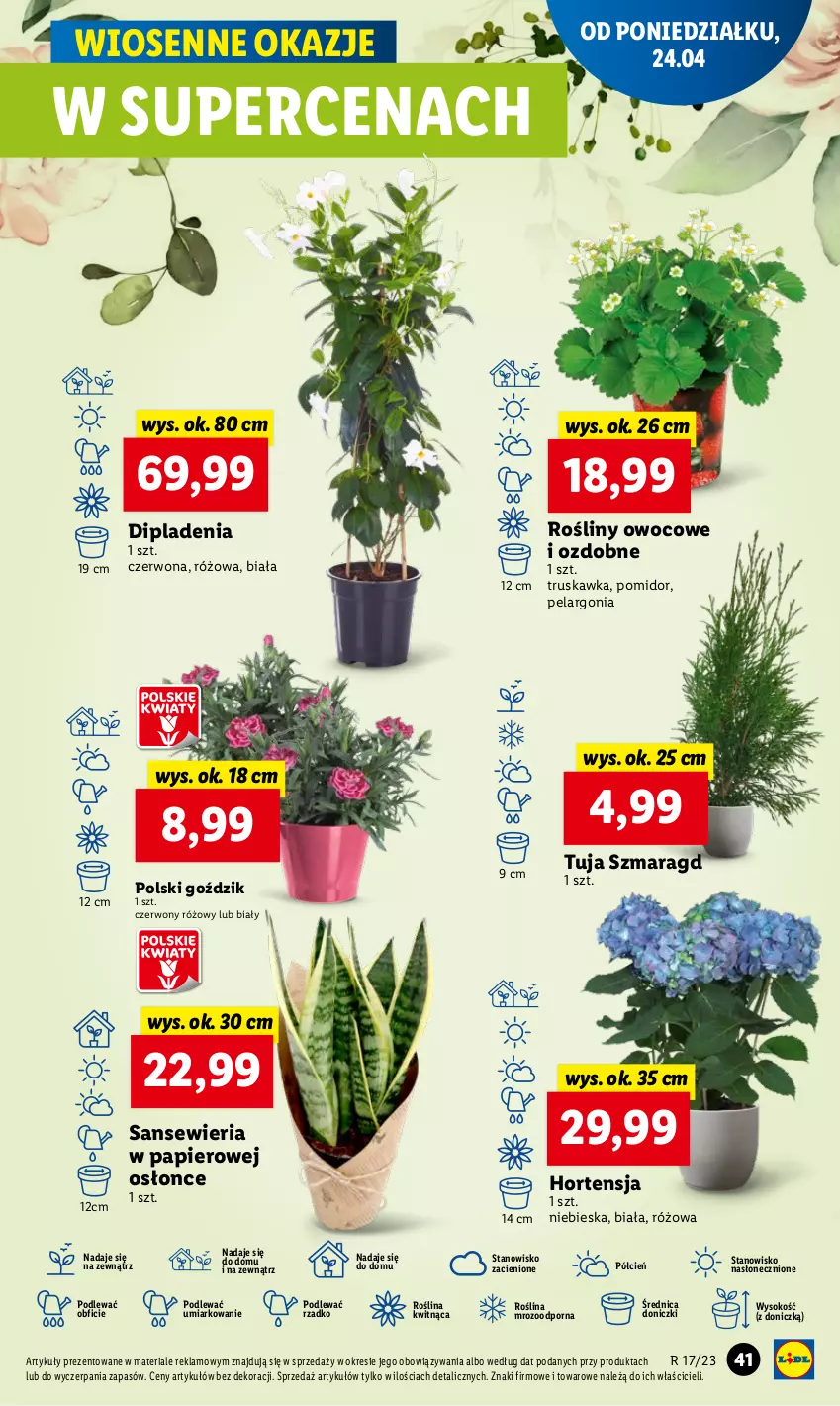 Gazetka promocyjna Lidl - GAZETKA - ważna 24.04 do 26.04.2023 - strona 51 - produkty: Cień, O nas, Papier, Por, Sok