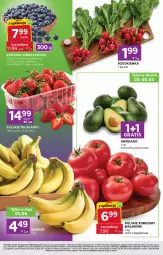 Gazetka promocyjna Stokrotka - Stokrotka Express - Gazetka - ważna od 01.06 do 01.06.2026 - strona 2 - produkty: Warzywa, Gra, Truskawki, Owoce, Pomidory, Rzodkiewka, Mięso