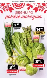 Gazetka promocyjna Netto - Artykuły spożywcze - Gazetka - ważna od 17.05 do 17.05.2023 - strona 5 - produkty: Cebula, Warzywa, Sałata lodowa, Sałat