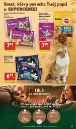 Gazetka promocyjna Delikatesy Centrum - Franczyza DC25 Czwartek - Gazetka - ważna od 24.06 do 24.06.2026 - strona 45 - produkty: Koc, Whiskas, Felix, Pedigree, Miska