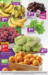 Gazetka promocyjna Stokrotka - Stokrotka Express - Gazetka - ważna od 17.09 do 17.09.2025 - strona 2 - produkty: Banany, Warzywa, Pomarańcze, Winogrona, Buraki, Owoce, Natka pietruszki, Wino, Mięso, LG