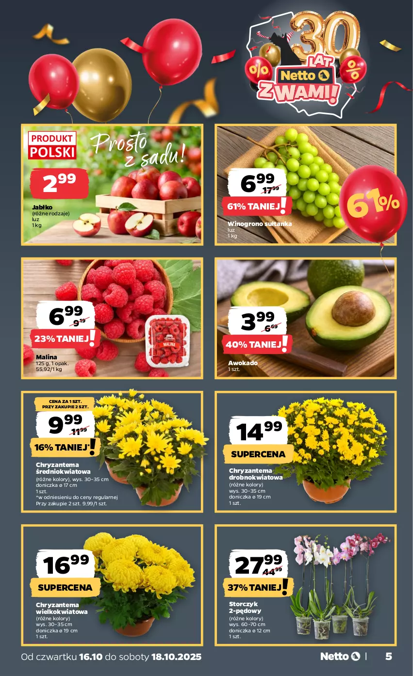 Gazetka promocyjna Netto - Od Czwartku - ważna 16.10 do 18.10.2025 - strona 5 - produkty: Chryzantema, Storczyk, Wino