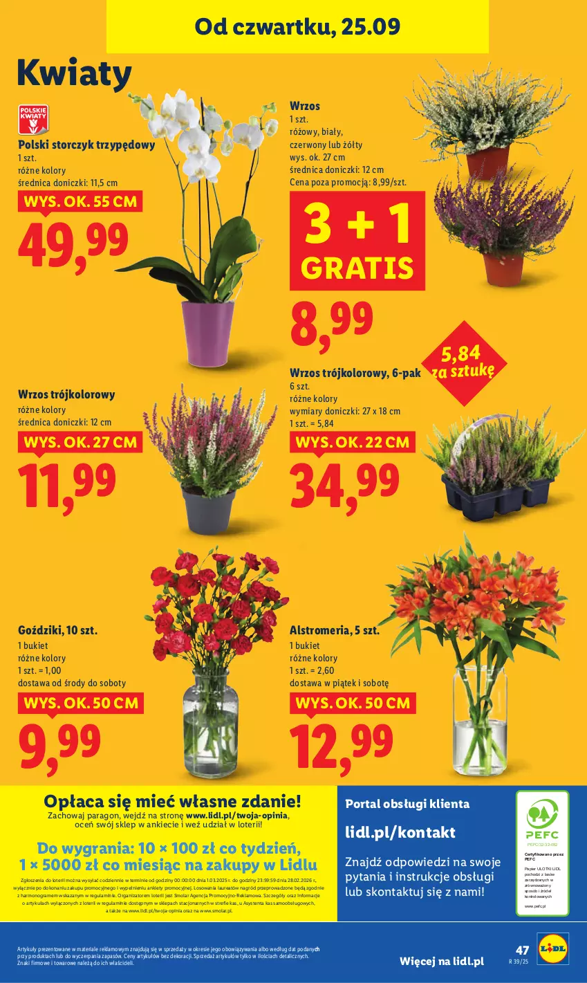 Gazetka promocyjna Lidl - GAZETKA - ważna 25.09 do 27.09.2025 - strona 51 - produkty: Bukiet, Gra, Laur, Mola, Papier, Por, Portal, Storczyk