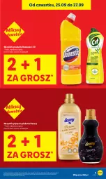 Gazetka promocyjna Lidl - GAZETKA - Gazetka - ważna od 27.09 do 27.09.2025 - strona 9 - produkty: Domestos, Cif
