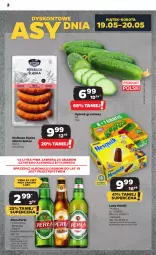 Gazetka promocyjna Netto - Artykuły spożywcze - Gazetka - ważna od 24.05 do 24.05.2023 - strona 2 - produkty: Piwa, Piwo, Por, Gra, Nesquik, Kaktus, Ogórek, Lody, Perła, Grunt, Kiełbasa, Nestlé, Kiełbasa śląska