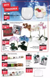 Gazetka promocyjna Stokrotka - Market - Gazetka - ważna od 28.12 do 28.12.2022 - strona 14 - produkty: Piec, Top, Papier, Rajstopy, Poszewka, Laur, Storczyk, Rękaw do pieczenia, Wkład filtrujący, Gatta, Szklanka, Papier do pieczenia, Folia aluminiowa, Fa