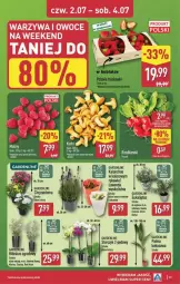 Gazetka promocyjna Aldi - Pełna oferta - Gazetka - ważna od 04.07 do 04.07.2026 - strona 35 - produkty: Warzywa, Hibiskus, Owoce, Kokos