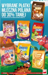 Gazetka promocyjna PoloMarket - Gazetka pomocyjna - Gazetka - ważna od 22.06 do 22.06.2021 - strona 23 - produkty: LANA