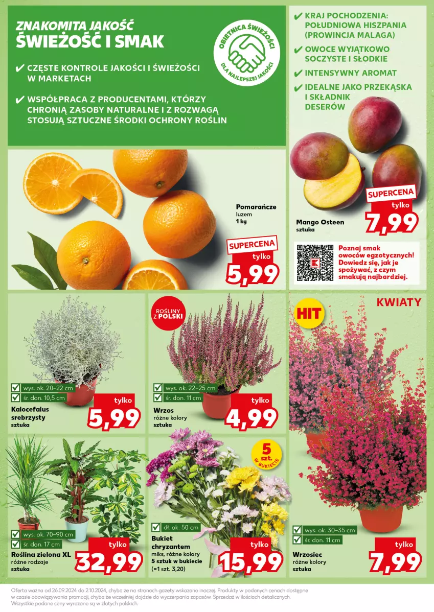 Gazetka promocyjna Kaufland - Kaufland - ważna 30.09 do 02.10.2024 - strona 13 - produkty: Bukiet, Fa, Mango, Pomarańcze