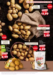 Gazetka promocyjna Kaufland - Kaufland - Gazetka - ważna od 02.10 do 02.10.2024 - strona 15 - produkty: Ziemniaki, Sałat, Fa