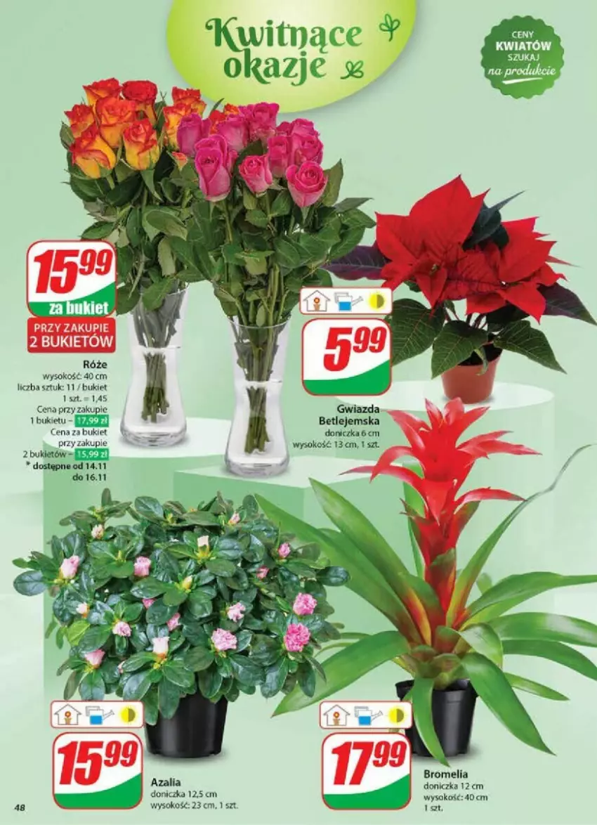 Gazetka promocyjna Dino - ważna 13.11 do 19.11.2024 - strona 43 - produkty: Bromelia, Bukiet, Sok