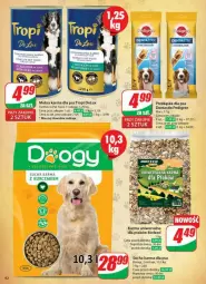 Gazetka promocyjna Dino - Gazetka - ważna od 19.11 do 19.11.2024 - strona 59 - produkty: Kurczak, Mokra karma, Mars, Pedigree, Sucha karma