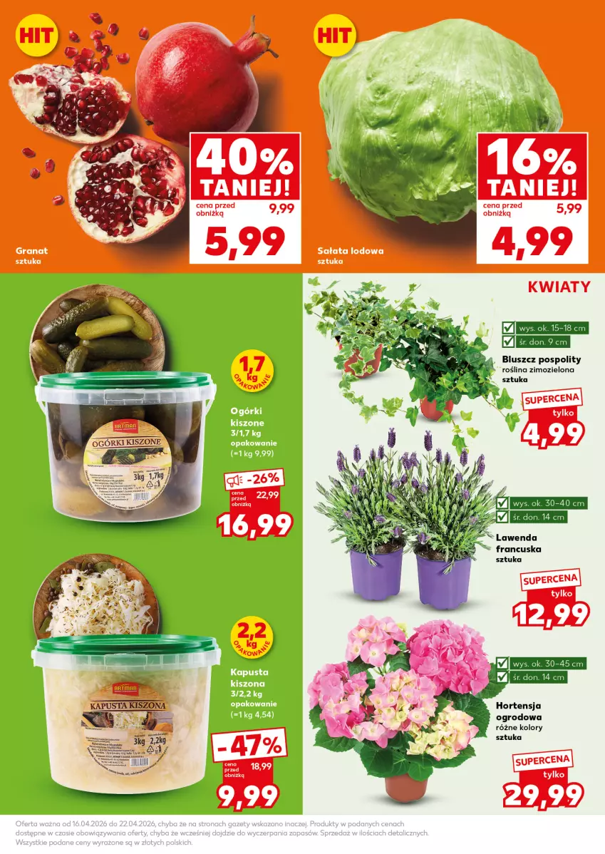 Gazetka promocyjna Kaufland - Mocny Start - ważna 20.04 do 22.04.2026 - strona 15 - produkty: Gra, Granat, Sałat, Sałata lodowa