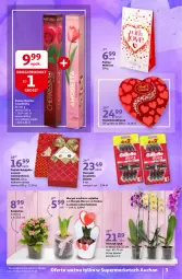 Gazetka promocyjna Auchan - A Love You Supermarkety - Gazetka - ważna od 10.02 do 10.02.2021 - strona 3 - produkty: Ser, Hiacynt, Praliny, Kalanchoe, Storczyk, Tonik, Gillette, Narcyz, Krokus, Lindt, LG