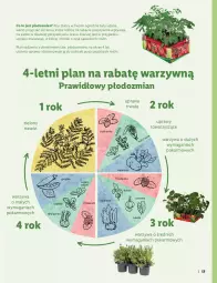 Gazetka promocyjna Lidl - KATALOG OGRÓD - Gazetka - ważna od 03.04 do 03.04.2022 - strona 17 - produkty: Chrzan, Warzywa, Por, Roszponka, Grzyby, Truskawki, Czosnek, Rukola, Ziemniaki, Sałat, Fasola, Buraki, Koper włoski, Bazyl, Aksam, Bazylia, Gres, Nawóz, Ogród, Pomidory, Groszek, Szpinak, Fa