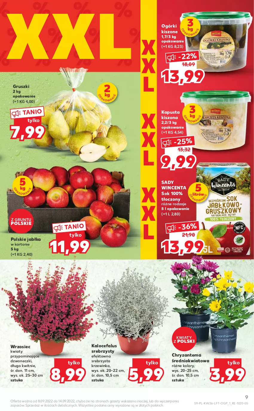 Gazetka promocyjna Kaufland - OFERTA TYGODNIA - ważna 08.09 do 14.09.2022 - strona 9 - produkty: Chryzantema, Fa, Grunt, Gruszki, Inka, Jabłka, Sok