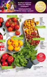 Gazetka promocyjna Kaufland - OFERTA TYGODNIA - Gazetka - ważna od 14.09 do 14.09.2022 - strona 13 - produkty: Warzywa, Sos, Laur, Sałat, Bazyl, Owoce, Bazylia, Pomidory, Mięta