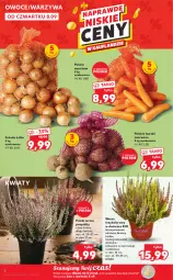 Gazetka promocyjna Kaufland - OFERTA TYGODNIA - Gazetka - ważna od 14.09 do 14.09.2022 - strona 8 - produkty: Cebula, Warzywa, Gra, Buraki, Owoce, Grunt, Olej