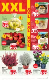Gazetka promocyjna Kaufland - OFERTA TYGODNIA - Gazetka - ważna od 14.09 do 14.09.2022 - strona 9 - produkty: Sok, Inka, Chryzantema, Gruszki, Grunt, Jabłka, Fa
