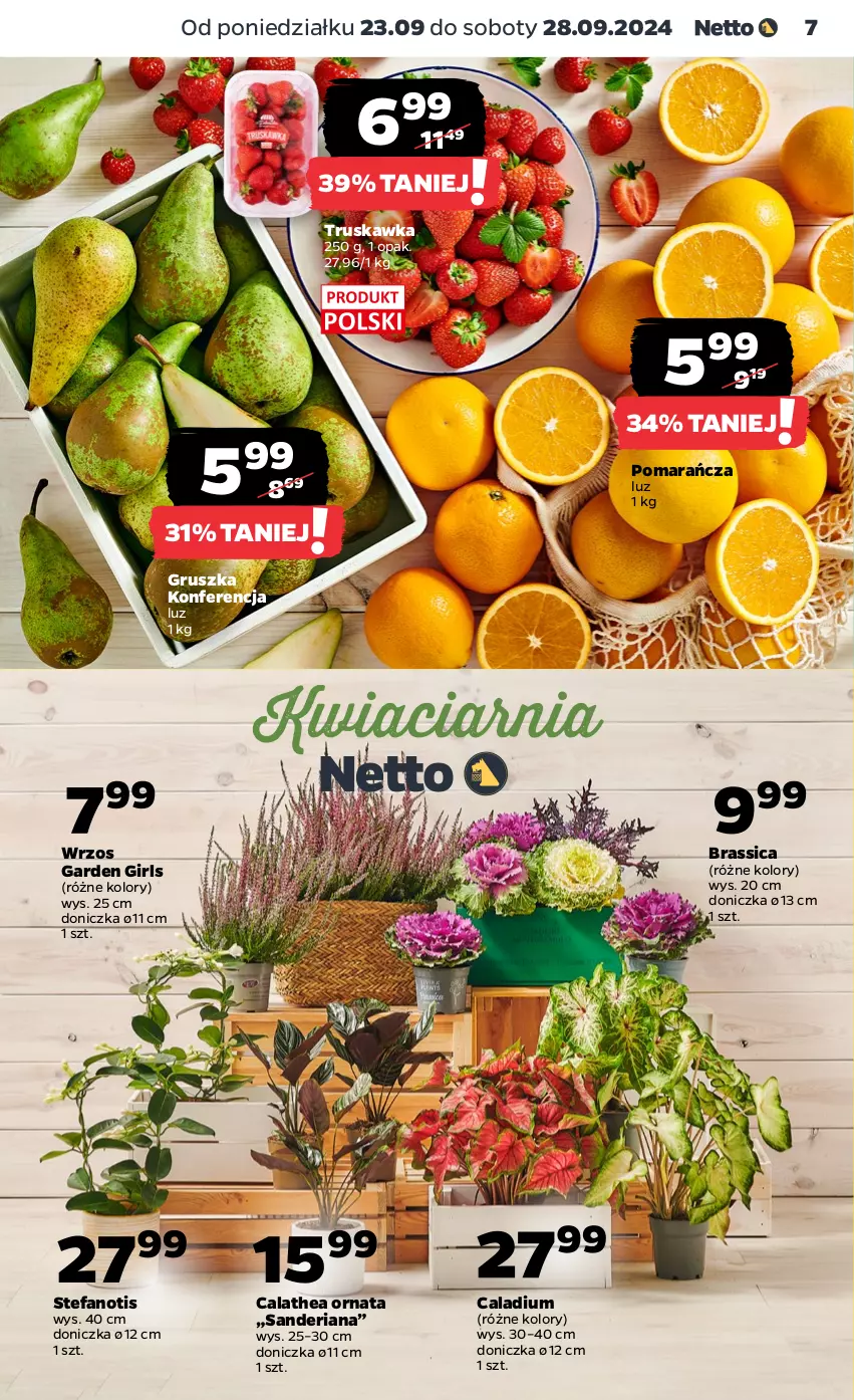 Gazetka promocyjna Netto - Netto Gazetka Food 39/24A - ważna 23.09 do 28.09.2024 - strona 7 - produkty: Fa