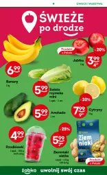 Gazetka promocyjna Żabka - Gazetka - ważna od 07.11 do 07.11.2023 - strona 33 - produkty: Banany, Warzywa, Cytryny, Ziemniaki, Siatka, Sałat, Owoce, Jabłka