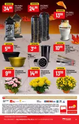 Gazetka promocyjna PoloMarket - Gazetka pomocyjna - Gazetka - ważna od 25.10 do 25.10.2022 - strona 67 - produkty: Sok, BIC, Inka, Chryzantema, Marker, Ramka, Znicz