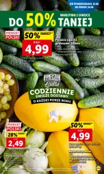 Gazetka promocyjna Lidl - GAZETKA - Gazetka - ważna od 14.06 do 14.06.2023 - strona 5 - produkty: Warzywa, Warzywa i owoce, Owoce, Grunt, Melon
