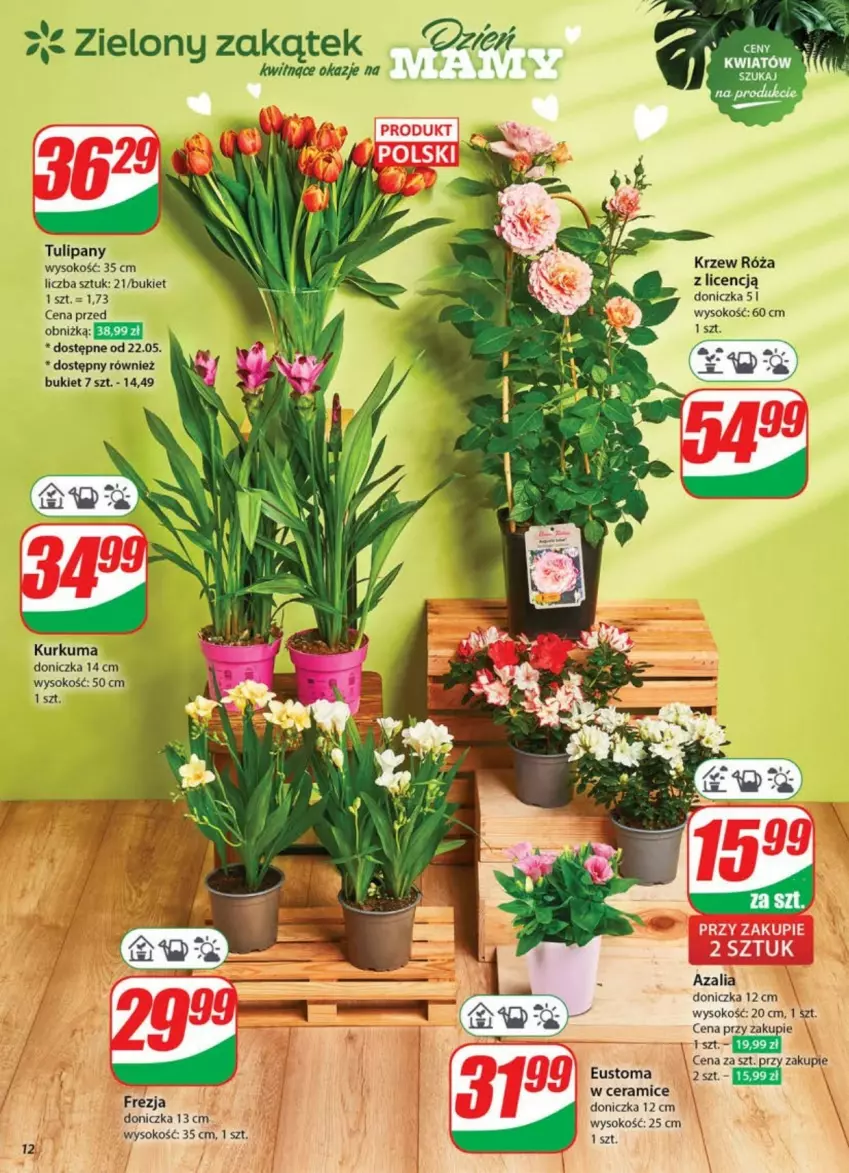 Gazetka promocyjna Dino - ważna 21.05 do 26.05.2025 - strona 4 - produkty: Bukiet, Kurkuma, Róża, Sok, Tulipan