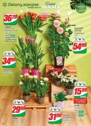 Gazetka promocyjna Dino - Gazetka - ważna od 26.05 do 26.05.2025 - strona 4 - produkty: Kurkuma, Sok, Tulipan, Róża, Bukiet