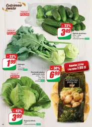Gazetka promocyjna Dino - Gazetka - ważna od 26.05 do 26.05.2025 - strona 46 - produkty: Ogórek, Ziemniaki, Grunt