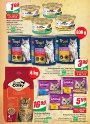 Gazetka promocyjna Dino - Gazetka - ważna od 26.05 do 26.05.2025 - strona 69 - produkty: Mokra karma, Whiskas, Gourmet Gold, Mars, Sucha karma