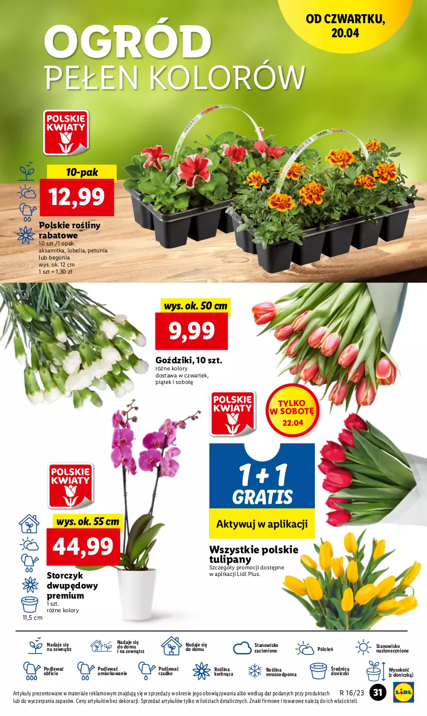 Gazetka promocyjna Lidl - GAZETKA - ważna 20.04 do 22.04.2023 - strona 39 - produkty: Aksam, Cień, Gra, O nas, Ogród, Por, Sok, Storczyk, Tulipan