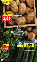 Gazetka promocyjna Lidl - GAZETKA - Gazetka - ważna od 22.04 do 22.04.2023 - strona 14 - produkty: Roszponka, Ziemniaki, Sałat, Fa