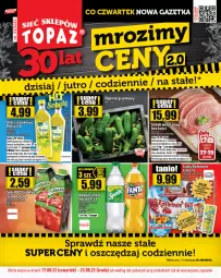Gazetka promocyjna Topaz - Gazetka - Gazetka - ważna od 23.08 do 23.08.2023 - strona 1 - produkty: Sok, Gra, Ogórek, Lody, Schab wieprzowy, Grunt, Olej