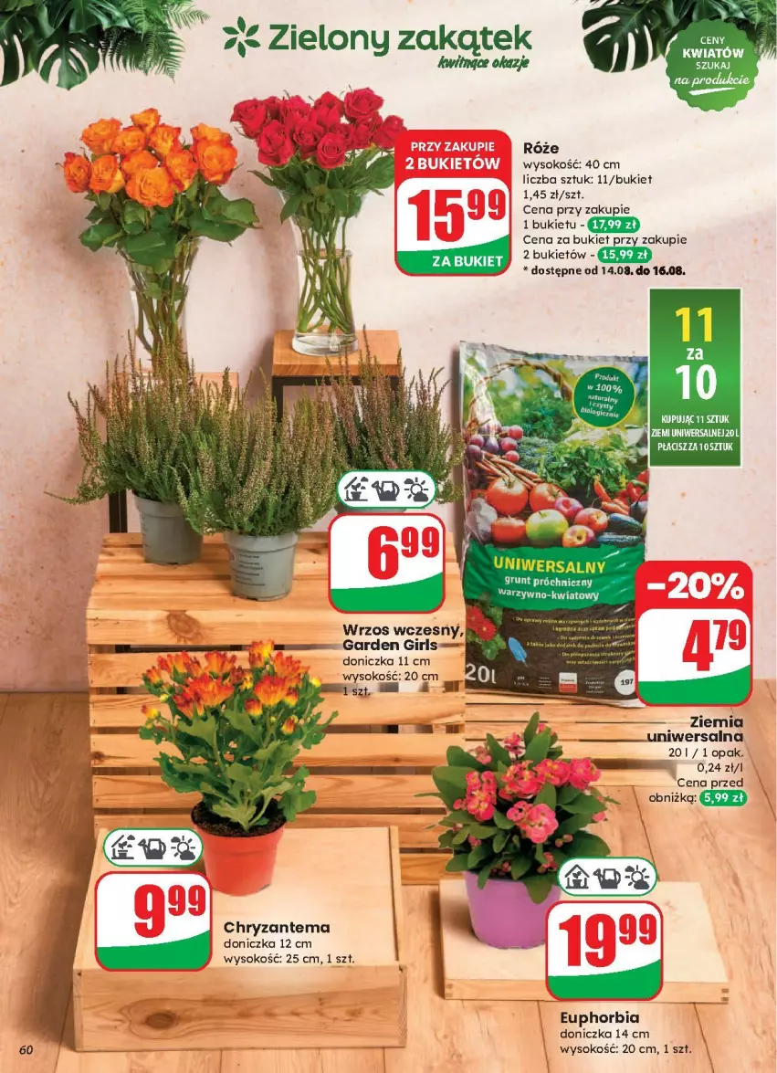 Gazetka promocyjna Dino - ważna 13.08 do 19.08.2025 - strona 57 - produkty: Bukiet, Chryzantema, Grunt, Sok