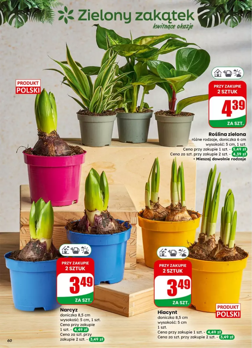 Gazetka promocyjna Dino - Gazetka 06 / 2026 - ważna 04.02 do 10.02.2026 - strona 60 - produkty: Hiacynt, Sok