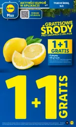 Gazetka promocyjna Lidl - GAZETKA - Gazetka - ważna od 15.11 do 15.11.2023 - strona 28 - produkty: Gra, Cytryny, Olej