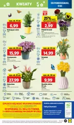 Gazetka promocyjna Lidl - GAZETKA - Gazetka - ważna od 19.03 do 19.03.2025 - strona 51 - produkty: Campanula, Sok, Por, Gra, Cień, O nas, Portal, Laur, Mola, Bukiet