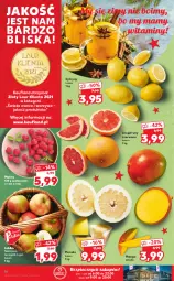 Gazetka promocyjna Kaufland - OFERTA TYGODNIA - Gazetka - ważna od 15.12 do 15.12.2021 - strona 16 - produkty: Piec, Jonagold, Warzywa, Cytryny, Laur, Szampion, Pomelo, Maliny, Owoce, Mango, Ligol, Jabłka, Grejpfrut