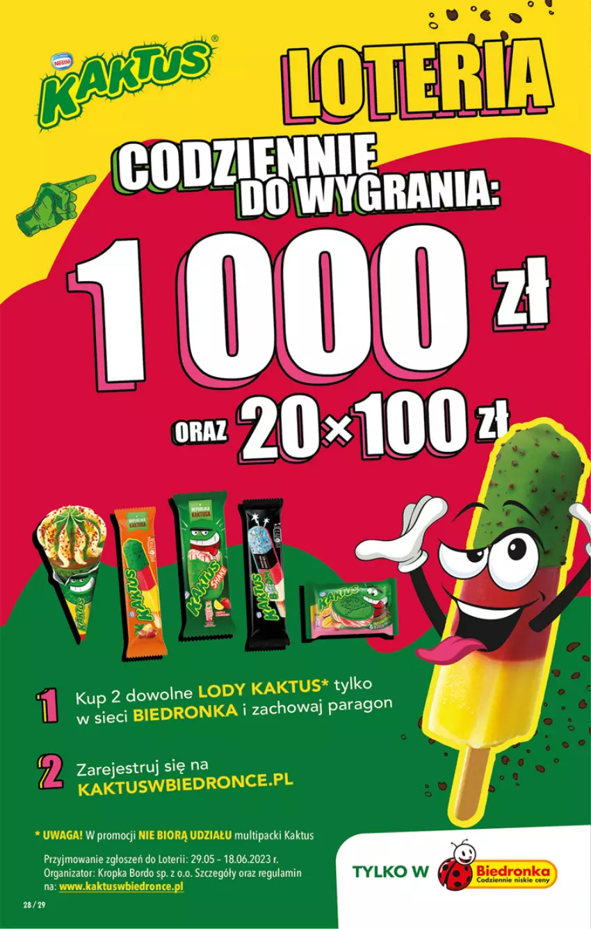 Gazetka promocyjna Biedronka - Gazetka - Biedronka.pl - ważna 15.06 do 21.06.2023 - strona 28 - produkty: Kaktus