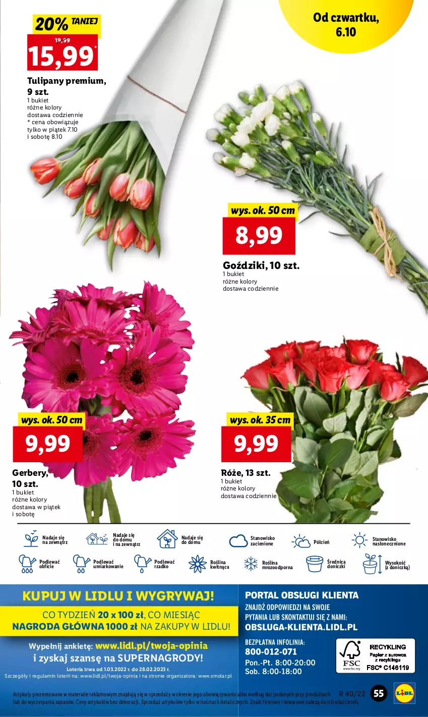 Gazetka promocyjna Lidl - GAZETKA - ważna 06.10 do 08.10.2022 - strona 55 - produkty: Bukiet, Cień, Gerber, Gry, Mola, O nas, Por, Sok, Tulipan