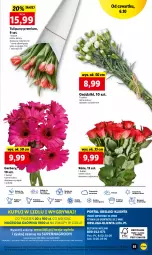 Gazetka promocyjna Lidl - GAZETKA - Gazetka - ważna od 08.10 do 08.10.2022 - strona 55 - produkty: Sok, Por, Gry, Gerber, Tulipan, Cień, O nas, Mola, Bukiet