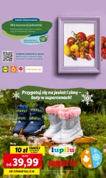 Gazetka promocyjna Lidl - GAZETKA - Gazetka - ważna od 08.10 do 08.10.2022 - strona 56 - produkty: Buty, Wazon