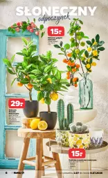 Gazetka promocyjna Netto - Od Czwartku - Gazetka - ważna od 08.07 do 08.07.2026 - strona 6 - produkty: Cytryny