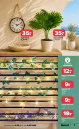 Gazetka promocyjna Netto - Od Czwartku - Gazetka - ważna od 08.07 do 08.07.2026 - strona 7 - produkty: Tera, Zegar