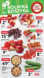 Gazetka promocyjna Intermarche - Gazetka - ważna od 21.02 do 21.02.2024 - strona 6 - produkty: Papryka czerwona, Papryka, Ogórek, Mieszanka orzechowa, Wino